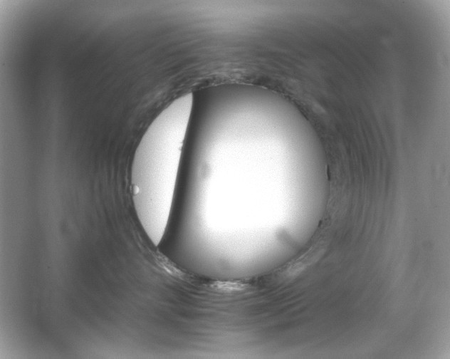 X0000066080528200603101143