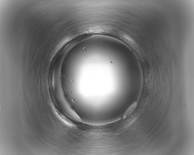 X0000066080530200603101142