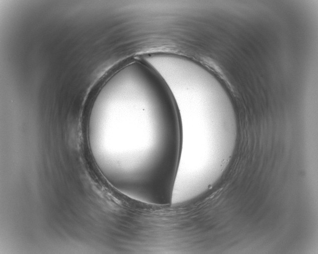 X0000066080532200603101142