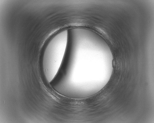 X0000066080535200603101143