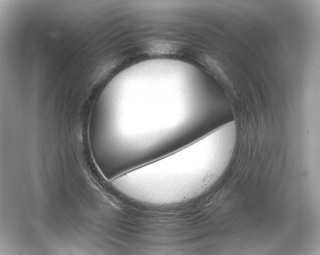 X0000066080539200603101143