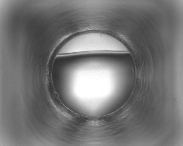 X0000066080540200603101143