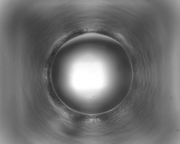 X0000066080543200603101143