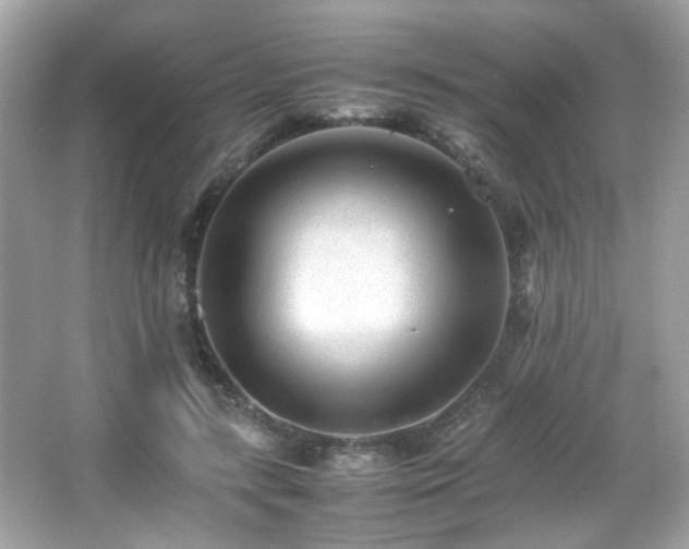 X0000066080547200603101143