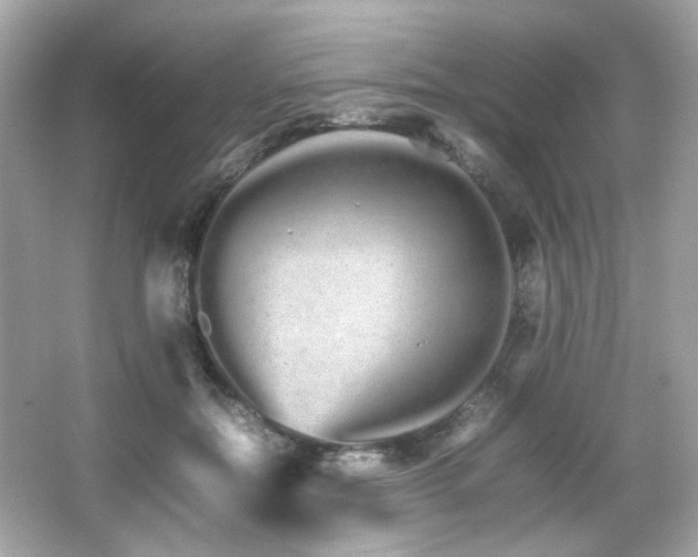X0000066080554200603101143