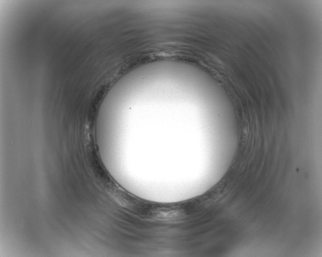 X0000066080555200603101143