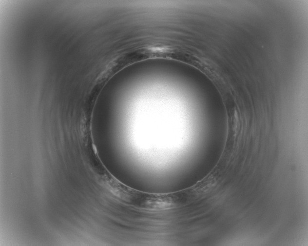 X0000066080559200603101143