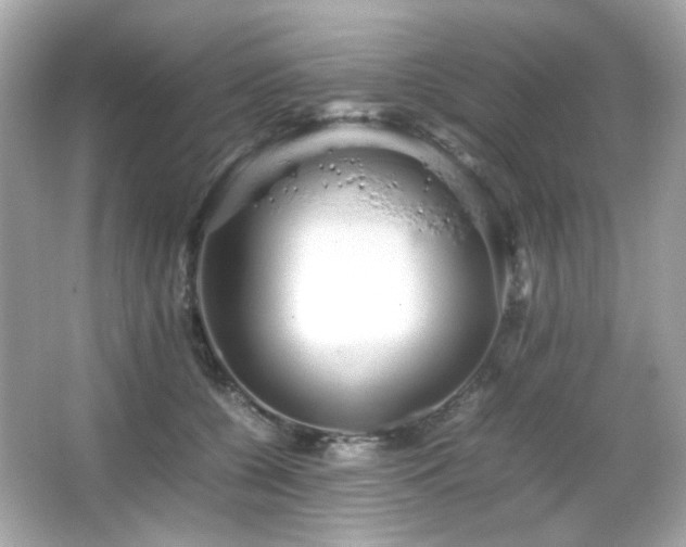 X0000066080560200603101143