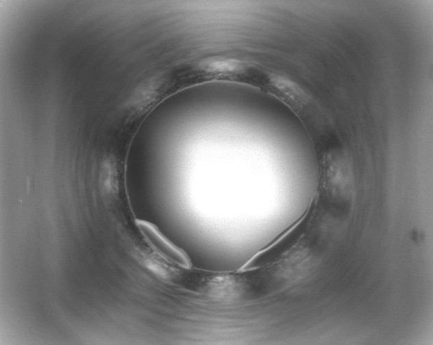 X0000066080562200603101143