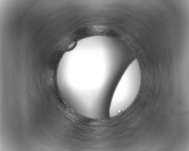 X0000066080563200603101143