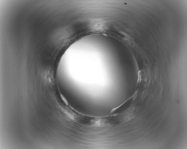 X0000066080564200603101143