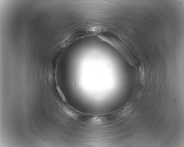 X0000066080566200603101143