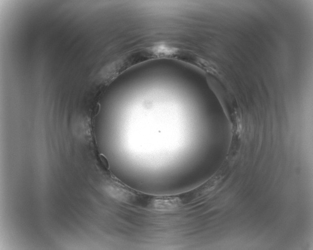 X0000066080571200603101143