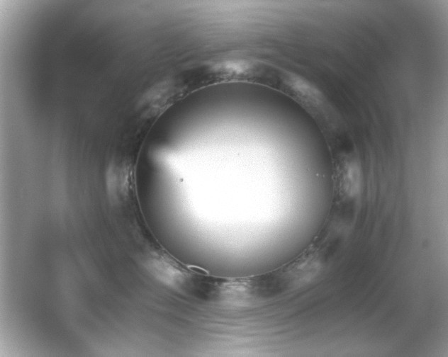 X0000066080574200603101143