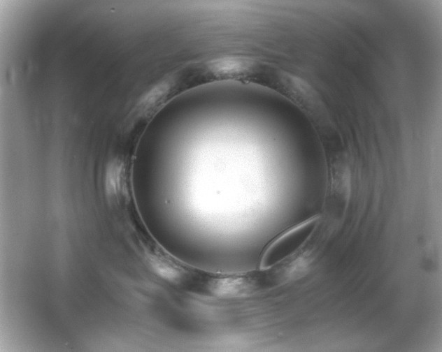 X0000066080575200603101143