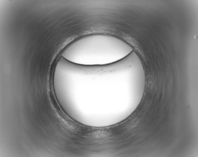 X0000066080578200603101142