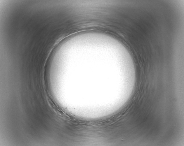 X0000066080579200603101142