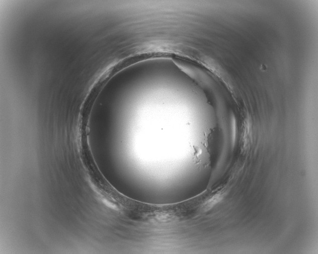 X0000066080580200603101142