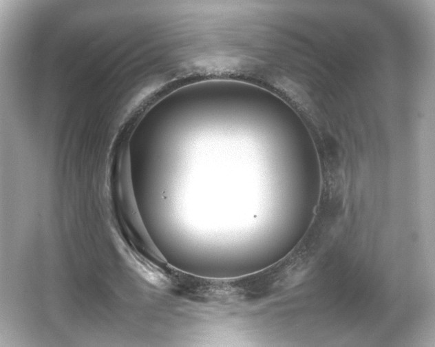 X0000066080583200603101142