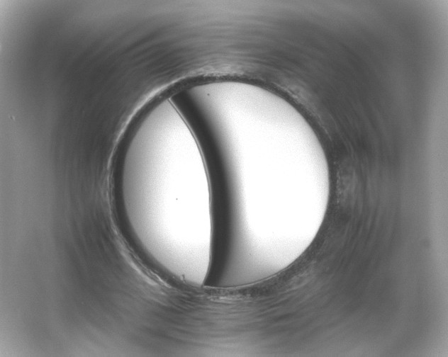 X0000066080584200603101142