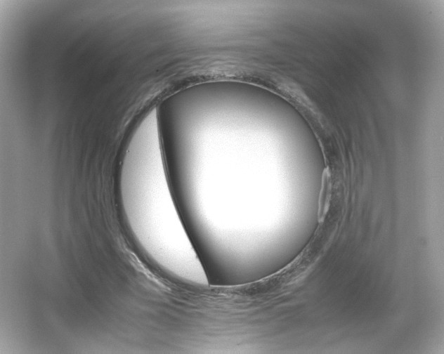 X0000066080585200603101142