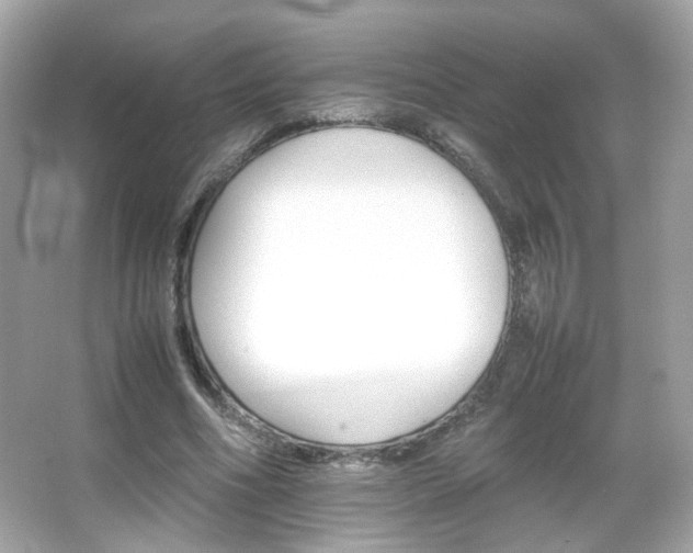 X0000066080586200603101142