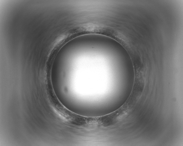 X0000066080587200603101142