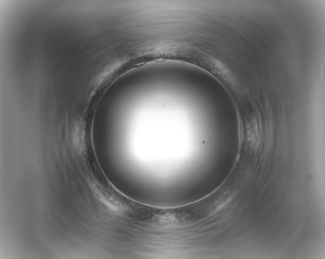 X0000066080588200603101142