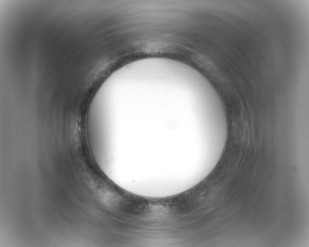 X0000066080592200603101142