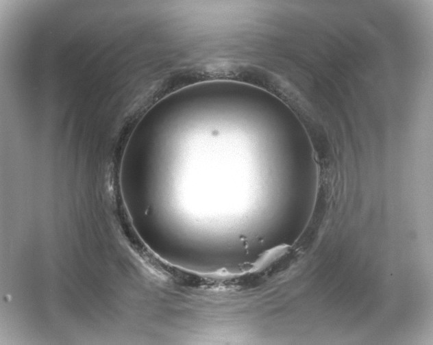 X0000066080593200603101142