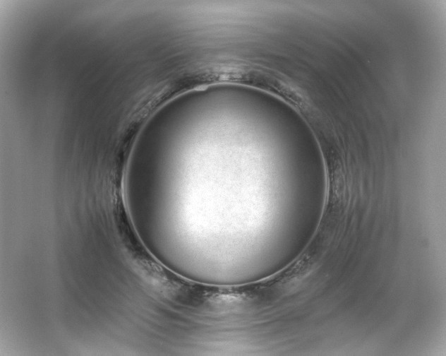 X0000066080594200603101142
