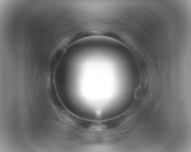 X0000066080595200603101142