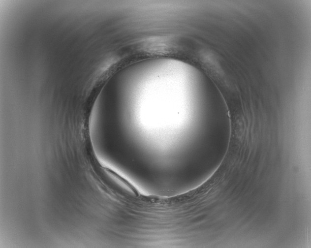 X0000066080596200603101142