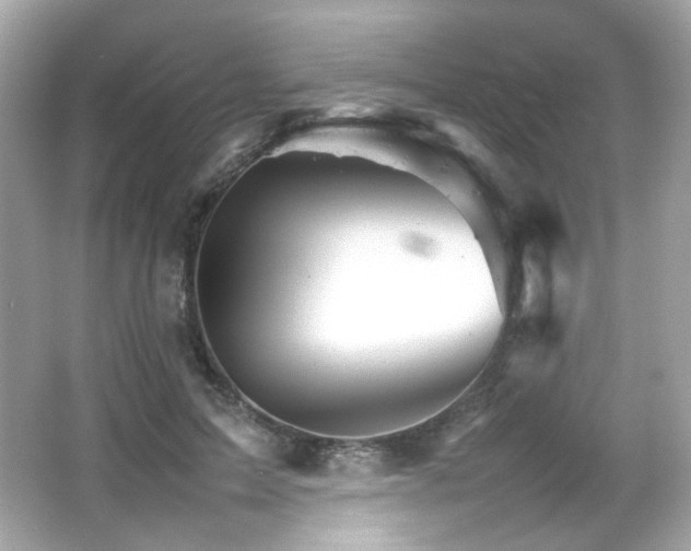 X0000066080599200603101142