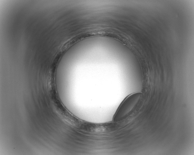 X0000066080600200603101142
