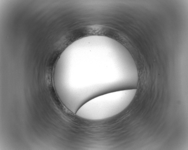 X0000066080602200603101142