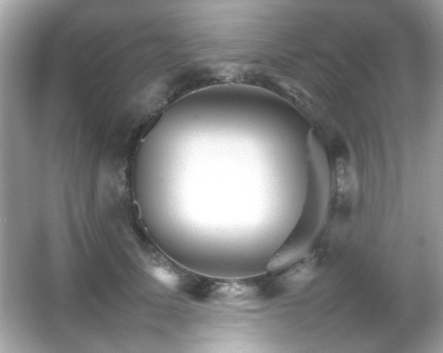 X0000066080611200603101142