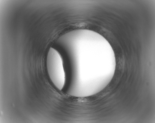 X0000066080612200603101142