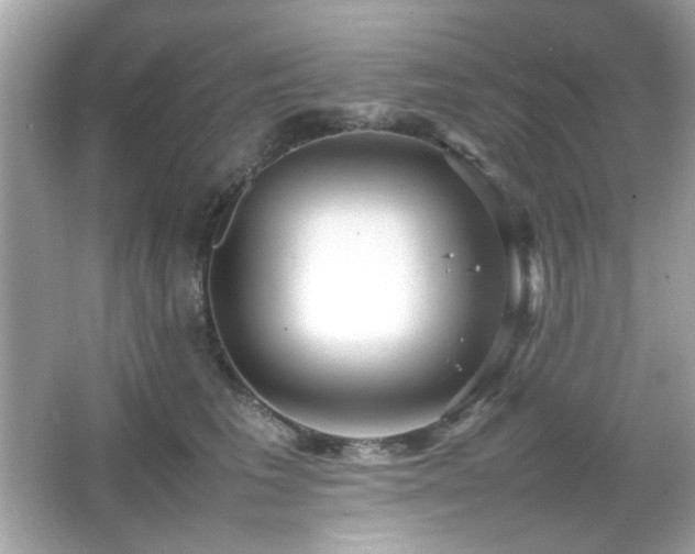 X0000066080613200603101142