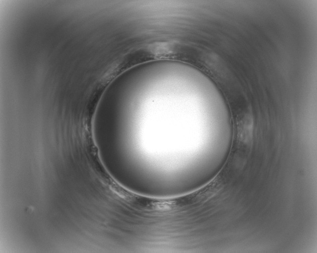 X0000066080618200603101142