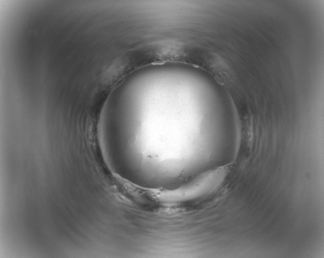X0000066080619200603101142