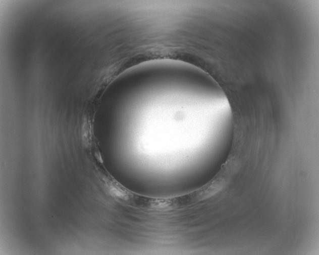 X0000066080624200603101142