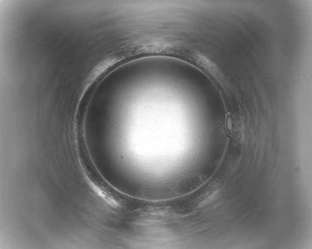 X0000066080626200603101141