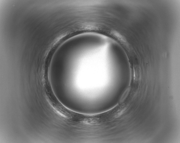 X0000066080627200603101141