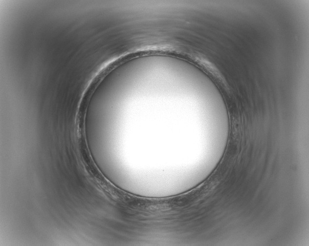 X0000066080628200603101141