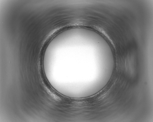 X0000066080629200603101141