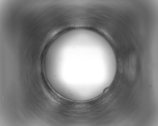X0000066080631200603101141