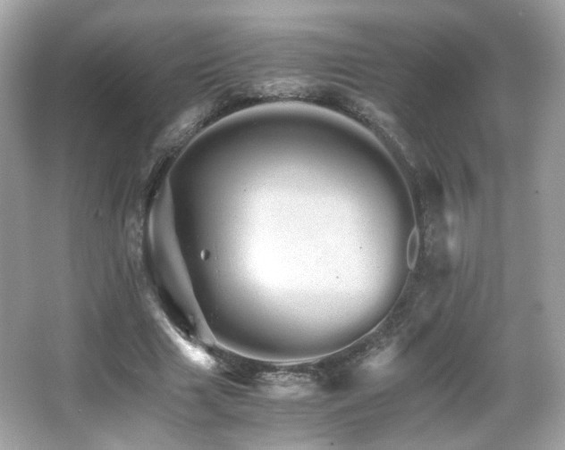 X0000066080633200603101141