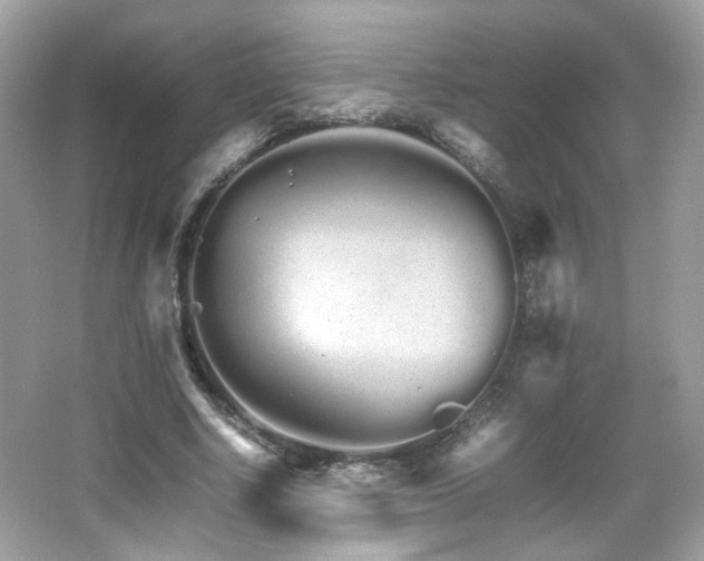 X0000066080634200603101141