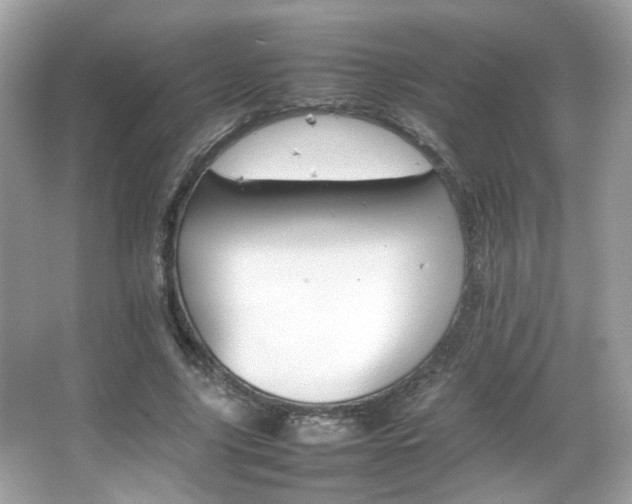 X0000066080635200603101141